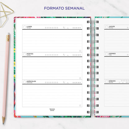 Geometrics Planner